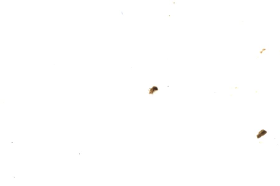 Image 87